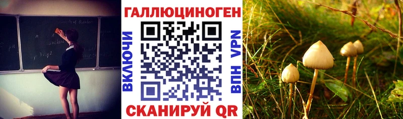 сайты даркнета Telegram Алушта Псилоцибиновые грибы Magic Shrooms