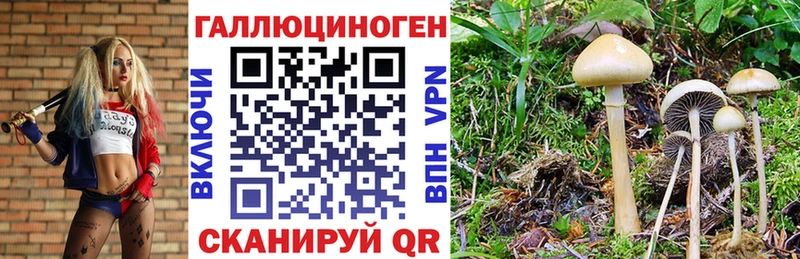 Псилоцибиновые грибы мицелий Алушта